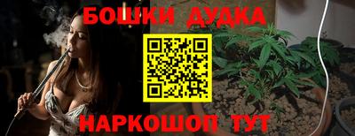 мяу мяу мука Аргун