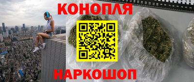 мяу мяу мука Аргун