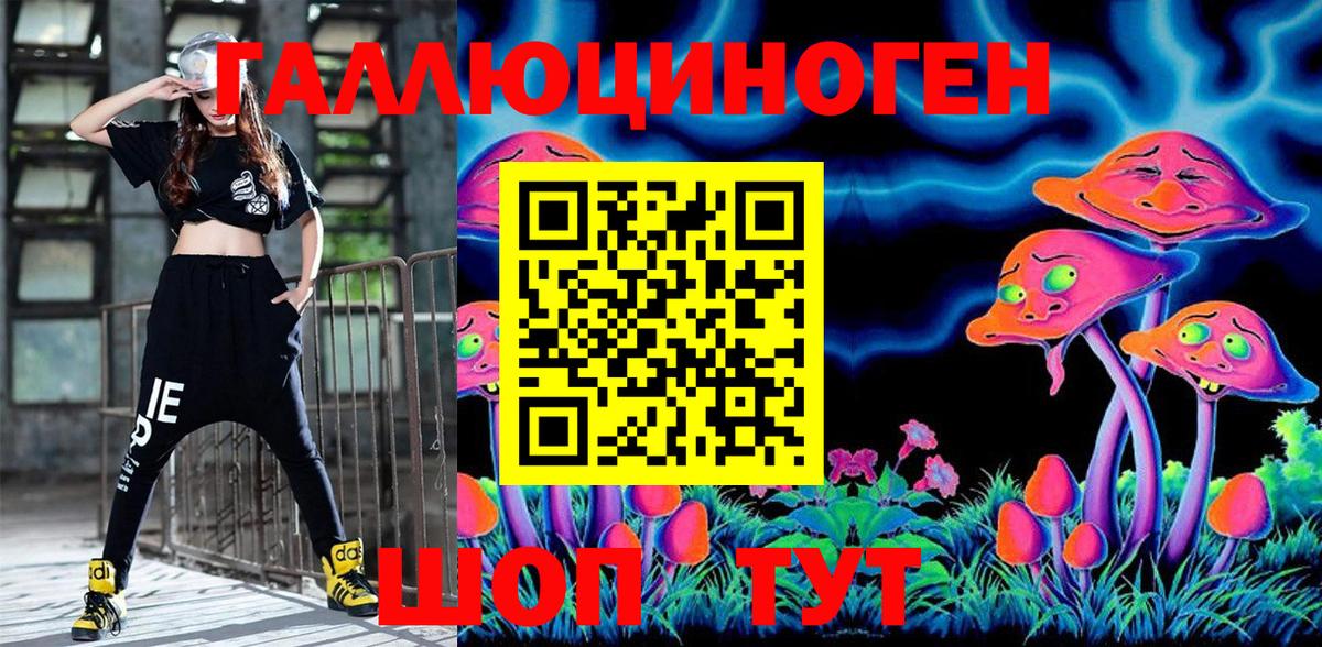 Псилоцибиновые грибы Psilocybine cubensis  Галлюциногенные грибы мицелий  Волгоград  Вход с VPN 