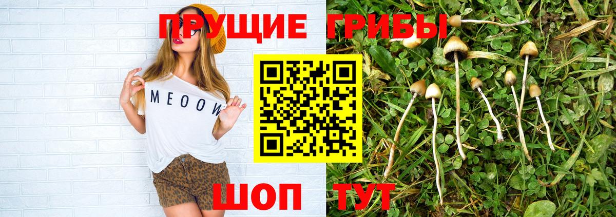 Галлюциногенные грибы прущие грибы Волгоград