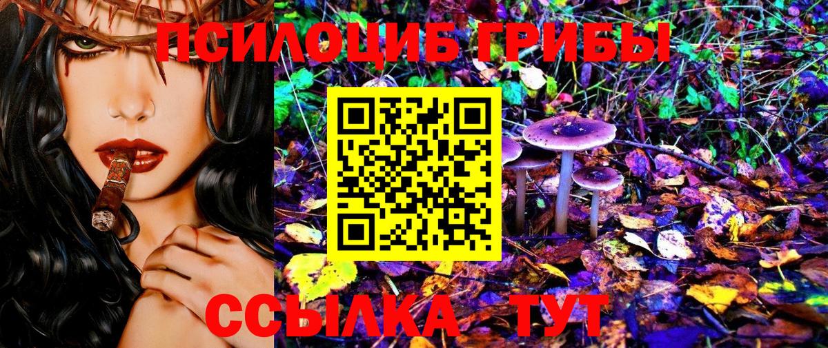 Галлюциногенные грибы Psilocybe Волгоград