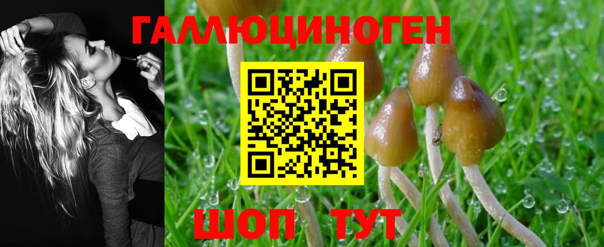 Галлюциногенные грибы GOLDEN TEACHER  Псилоцибиновые грибы мухоморы  сколько стоит  Волгоград 